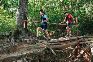 BIB: 
                            <button type="button" onclick="openModal(27552658)" class="btn btn-primary btn-sm float-right btn-popup" data-toggle="modal" data-target=".modal-high-quality">
                        <i class="fas fa-shopping-cart"></i> Add to Cart
                    </button>
                                            <button type="button" onclick="isThisMe(27552658, true)" class="btn btn-success btn-sm float-right btn-popup btn-isme hidden" data-toggle="tooltip" data-placement="bottom" title="นี่คือรูปของคุณใช่ไหม คลิกที่นี่เพื่อเอาเข้าอัลบั้ม">
                        <i class="fas fa-plus"></i> Add to album
                    </button>
                    <button type="button" onclick="isThisMe(27552658, false)" class="btn btn-warning btn-sm float-right btn-popup btn-isnotme hidden">
                        <i class="fas fa-ban"></i> Remove from album
                    </button>